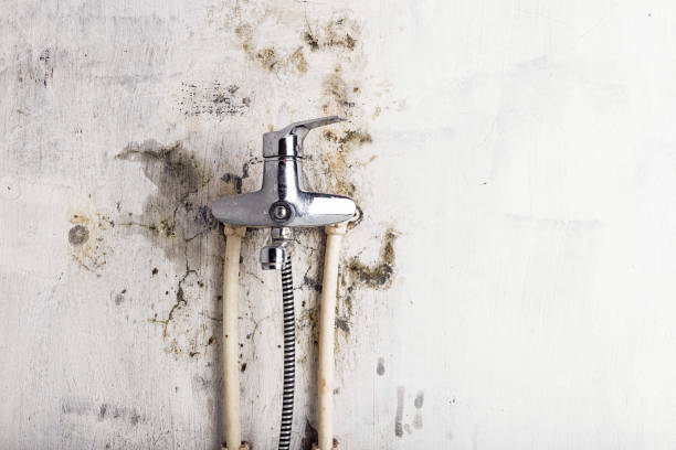 Best Emergency Mold Removal  in Magnet Cove, AR