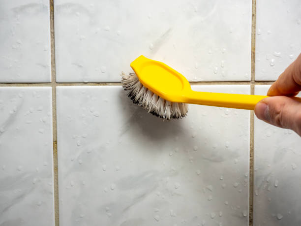 Best Toxic Mold Removal  in Magnet Cove, AR