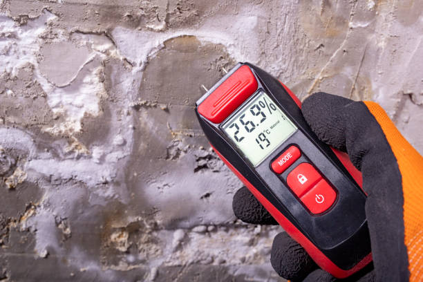 Best Attic Mold Removal  in Magnet Cove, AR