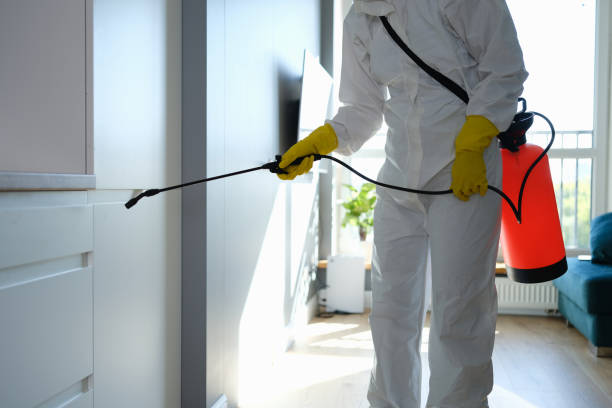 Best Mold Testing  in Magnet Cove, AR