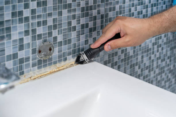 Best Office Mold Removal Services  in Magnet Cove, AR