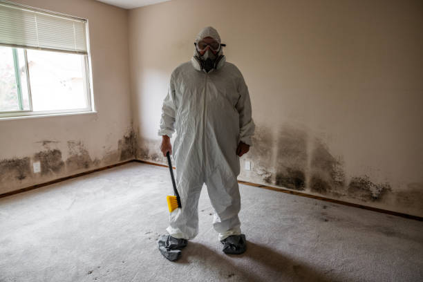 Best Crawl Space Mold Removal  in Magnet Cove, AR